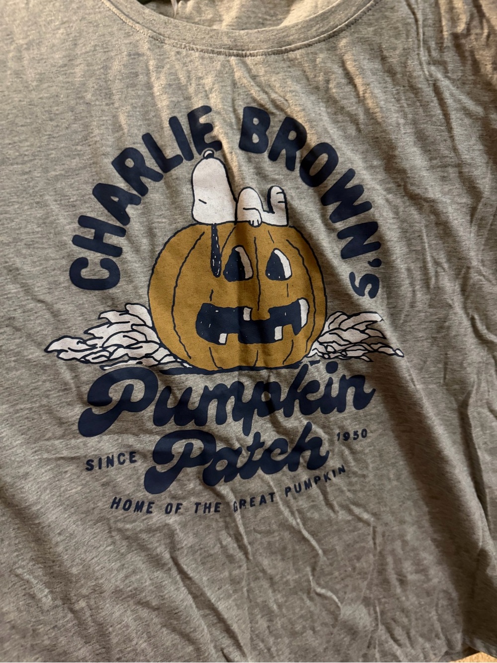 LC Lauren Conrad Charlie Brown Pumpkin Patch Tee Women 2xl